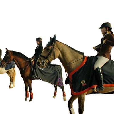 Construction de structures en acier léger pour l'arène de course à cheval intérieure