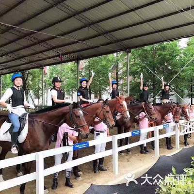 Construction de structures en acier léger pour l'arène de course à cheval intérieure