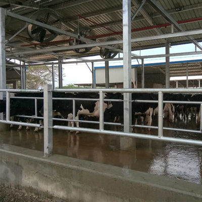 Bâtiment d'élevage avicole en charpente spatiale préfabriquée en acier professionnel