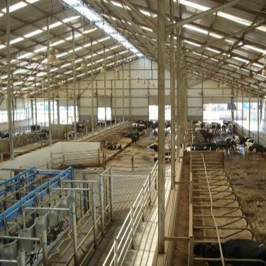 Chambre de volaille à structure en acier sur mesure avec installation rapide