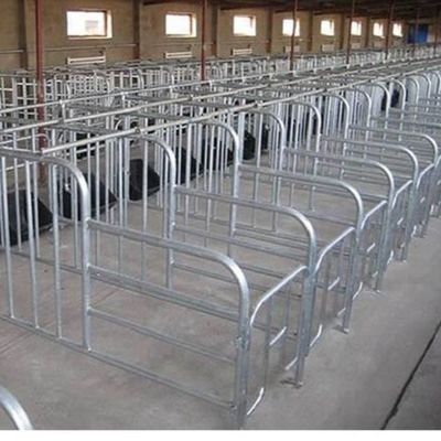 Chambre de volaille à structure en acier sur mesure avec installation rapide